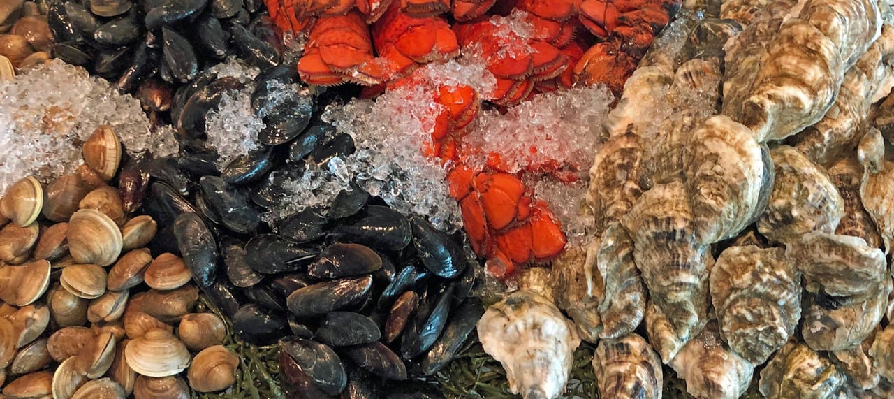 The Best Restaurants in Greater Newburyport: A Culinary Adventure
