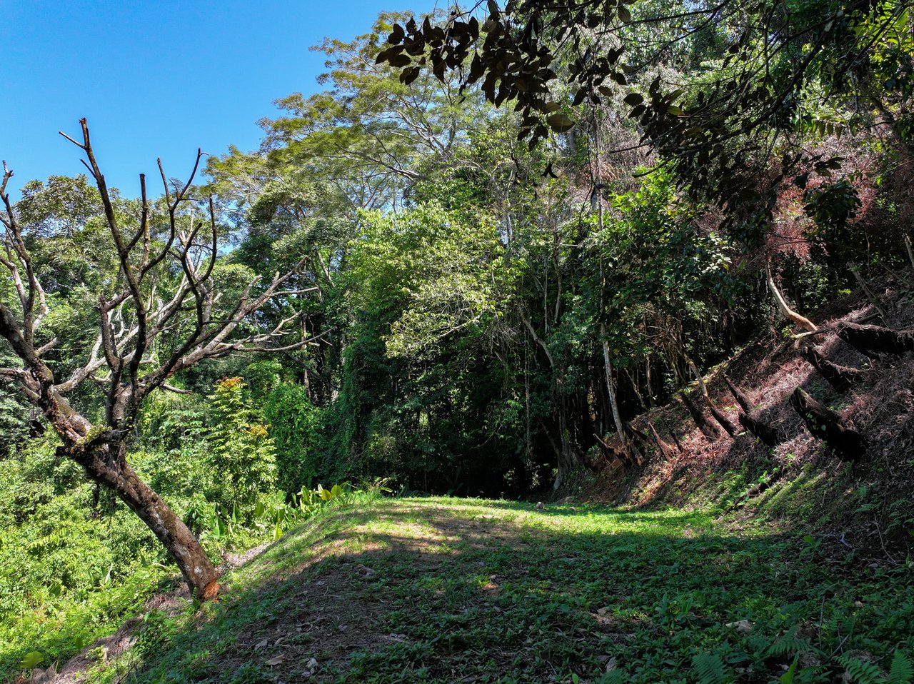 Unveil Paradise: Your Dream Homesite Awaits in Dominical, Costa Rica