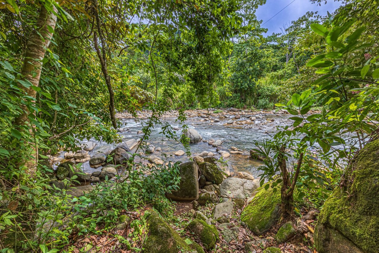 Riverfront Wellness Retreat Center, Uvita, Puntarenas