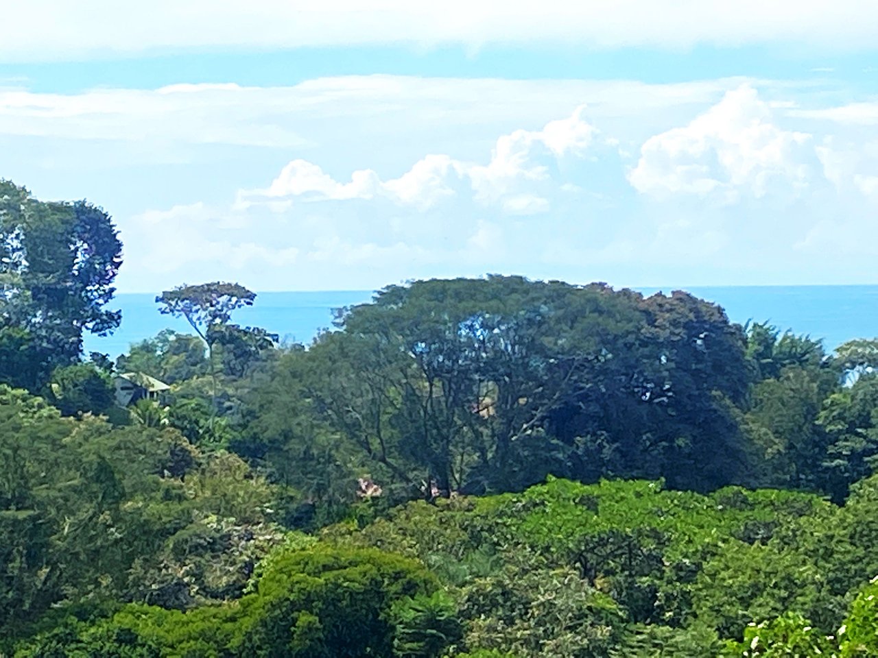 3.41 Acres, Ocean View Property In Finca Maranon With Legal Water! Ojochal 