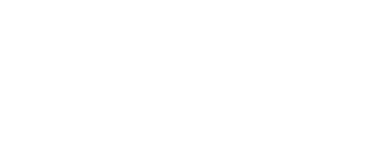 Silver Line Group REAL ESTATE EXPERTS 