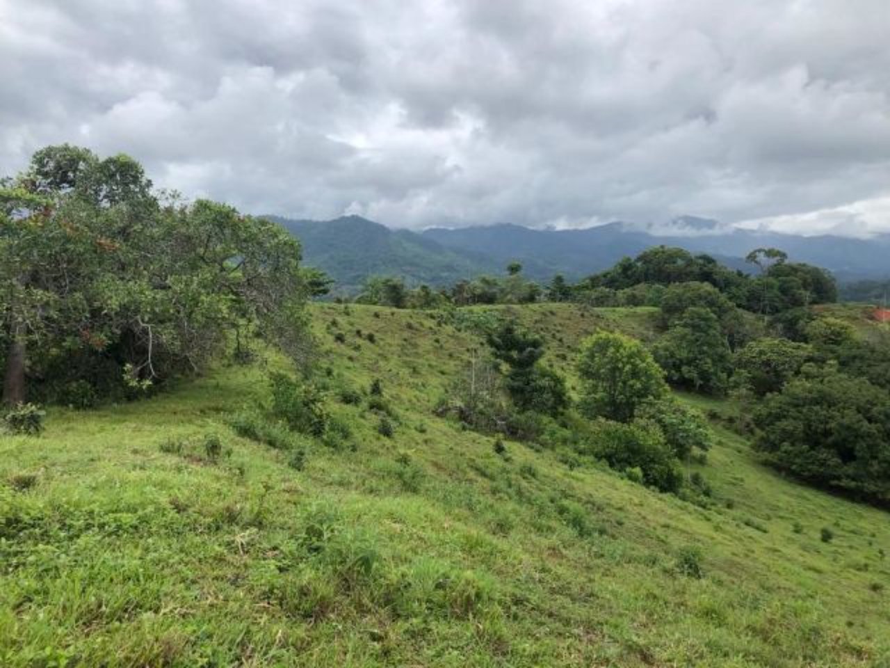 Ocean View Development Ranch, Manuel Antonio, Puntarenas