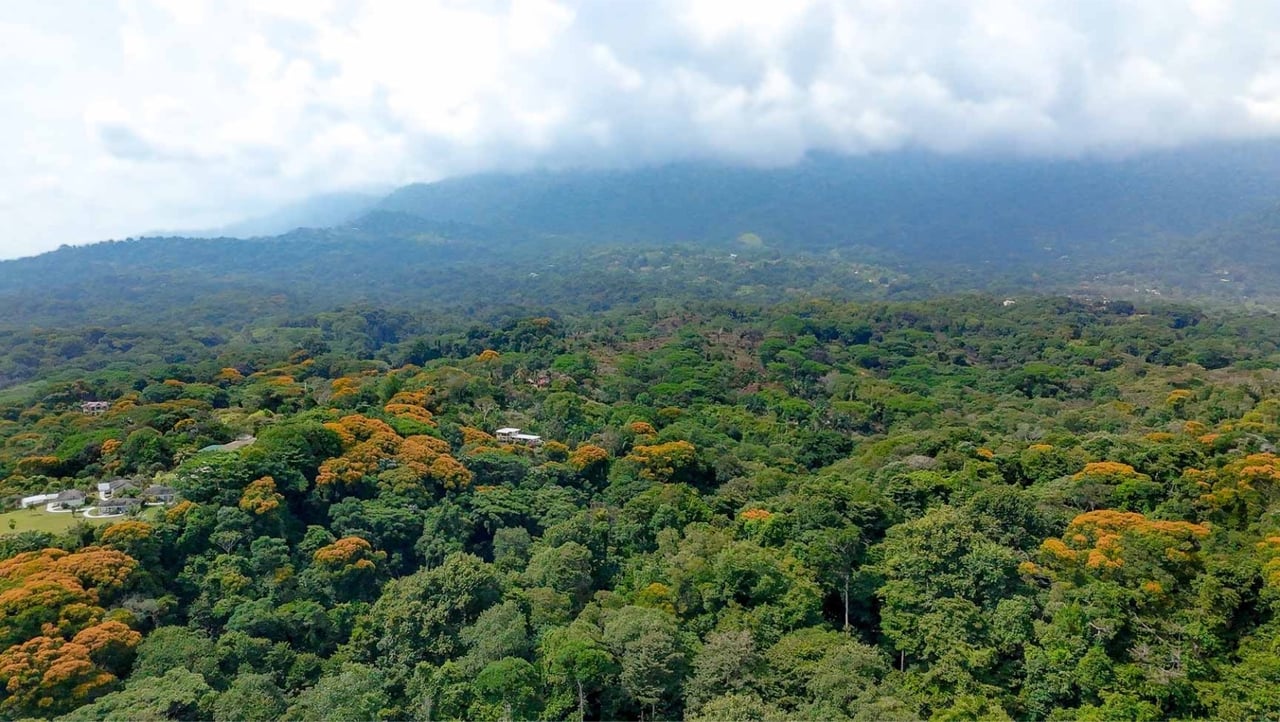 Oceanfront Highway Commercial Land, Ojochal, Puntarenas