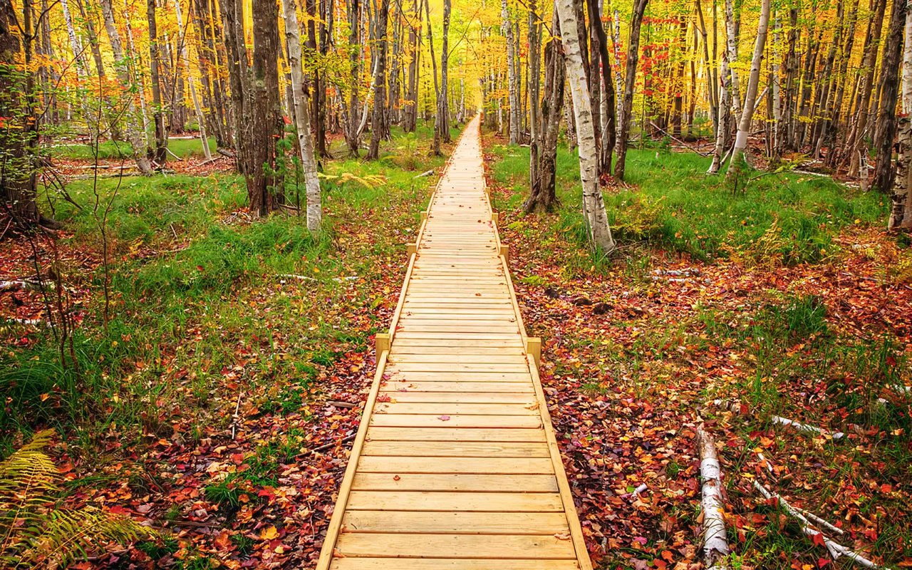 Things to Do in Bar Harbor, ME