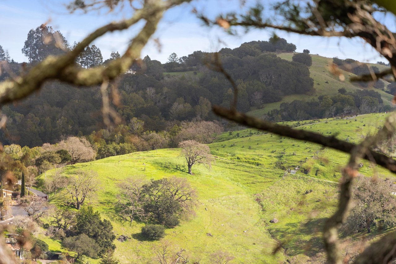 9 Oak Springs Drive, San Anselmo