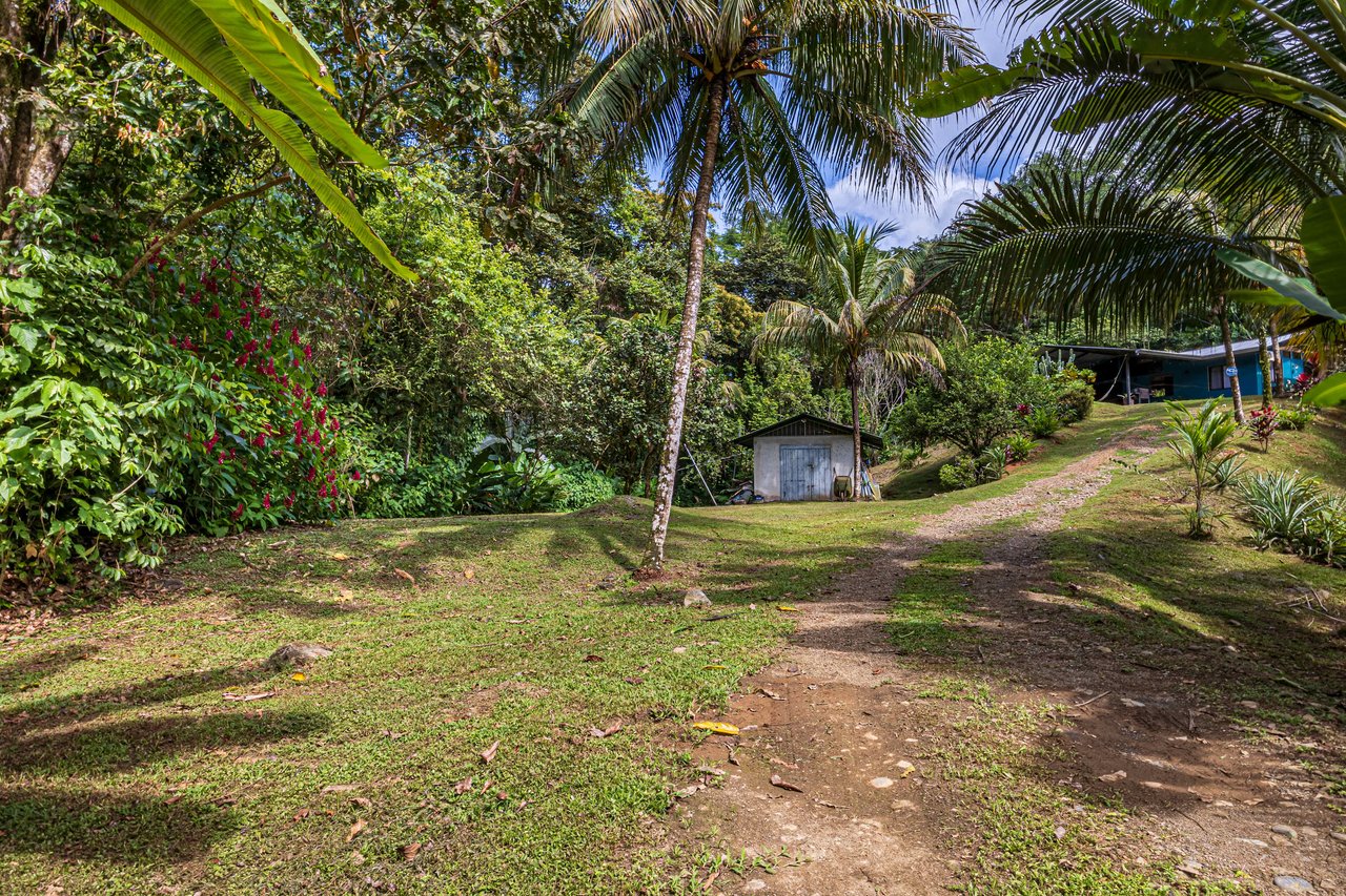 Tropical Hideaway – 7 Acres of Secluded Riverfront with a 3-Bedroom Home