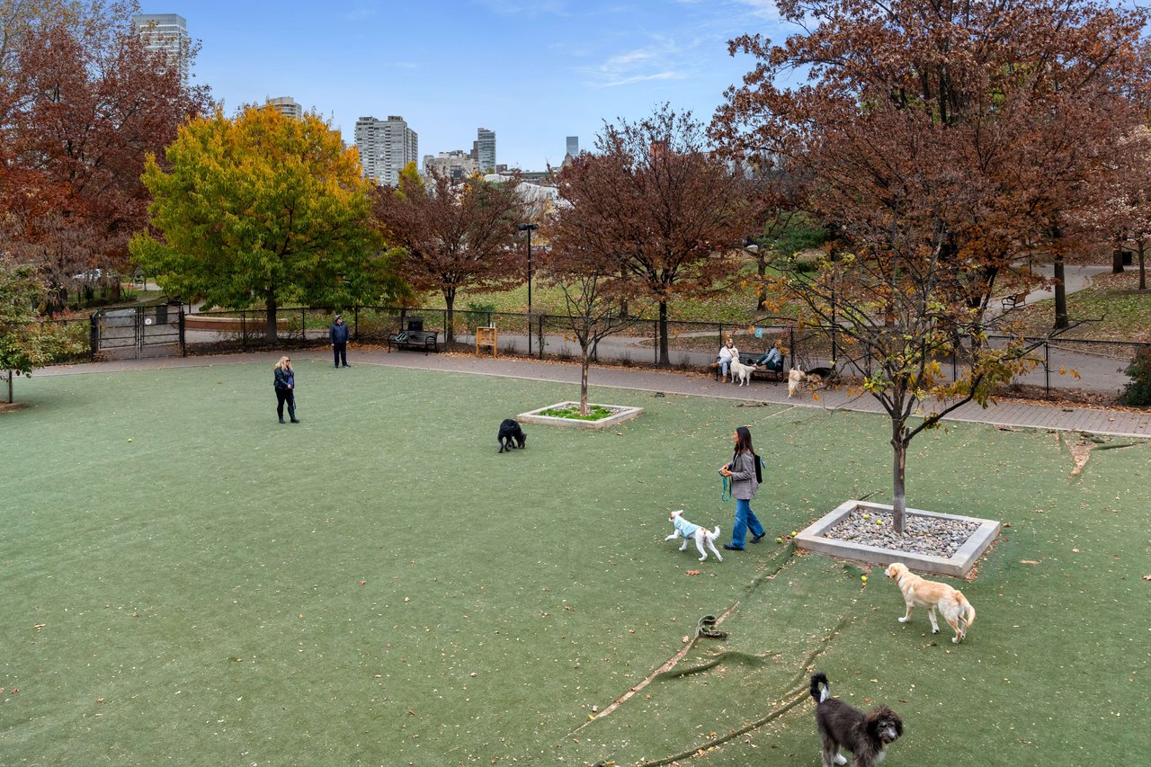 Philadelphia Dog Parks 