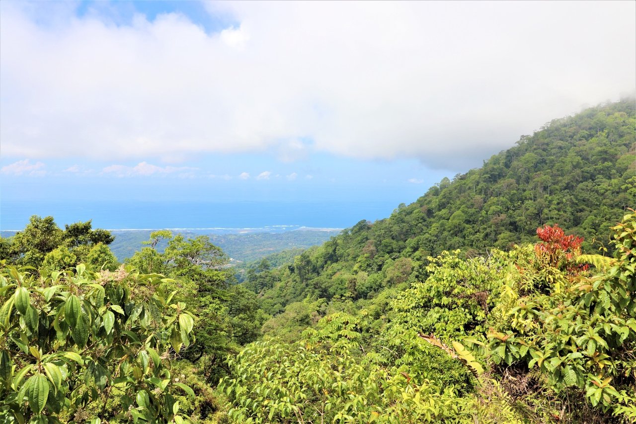 Large Development Farm, Ojochal, Puntarenas