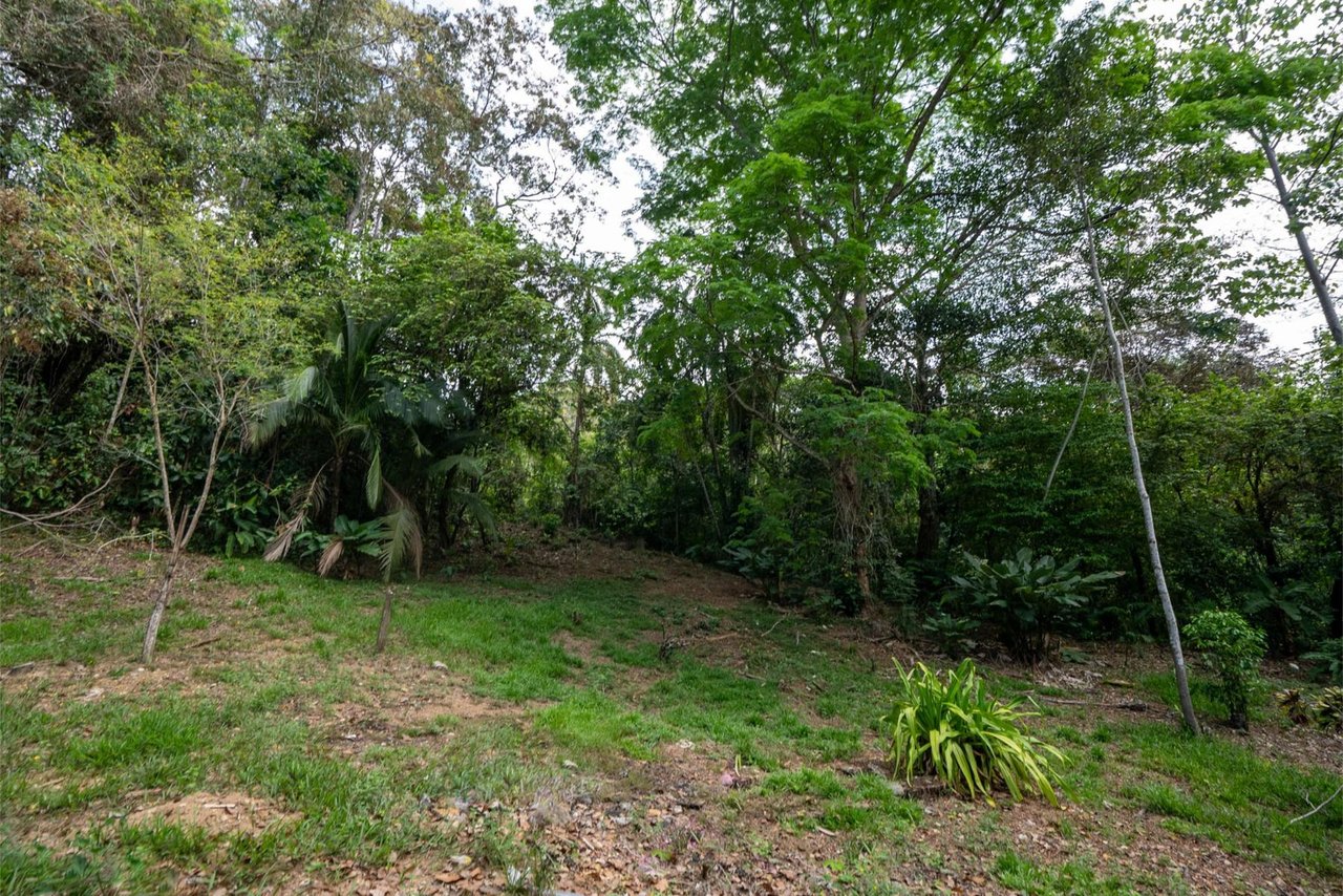 Private Ocean View Development Lot, Dominical, Puntarenas