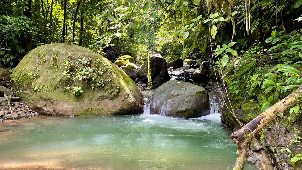 Over 123 Acres Farm in San Josecito De Morete, in Uvita Mountains