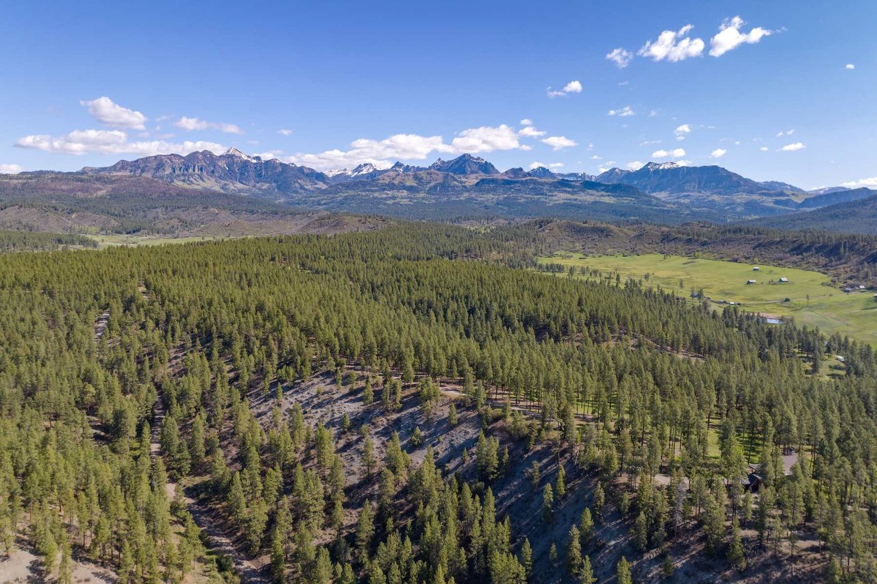 Watusi Ranch - Pagosa Springs, Colorado