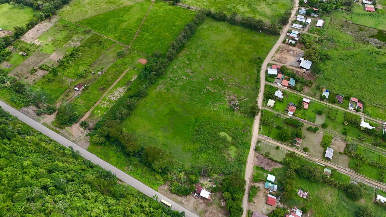 Fire Sale – Over 12 Acres of Land with Public Road Frontage Near Ojochal