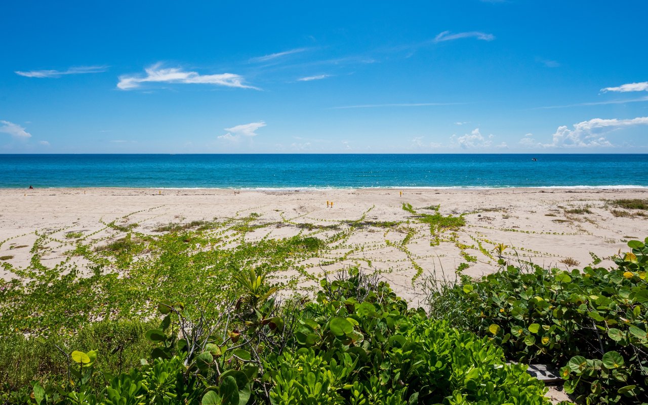 3501 N Ocean Blvd