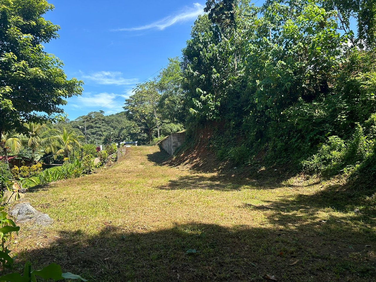 Reasonable Lot for sale in Uvita