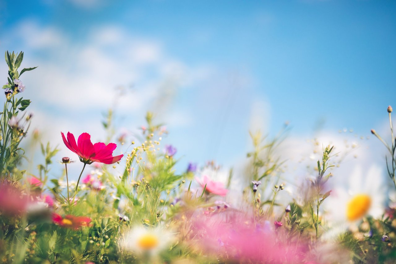 When Is the Best Time to Sell My Home?