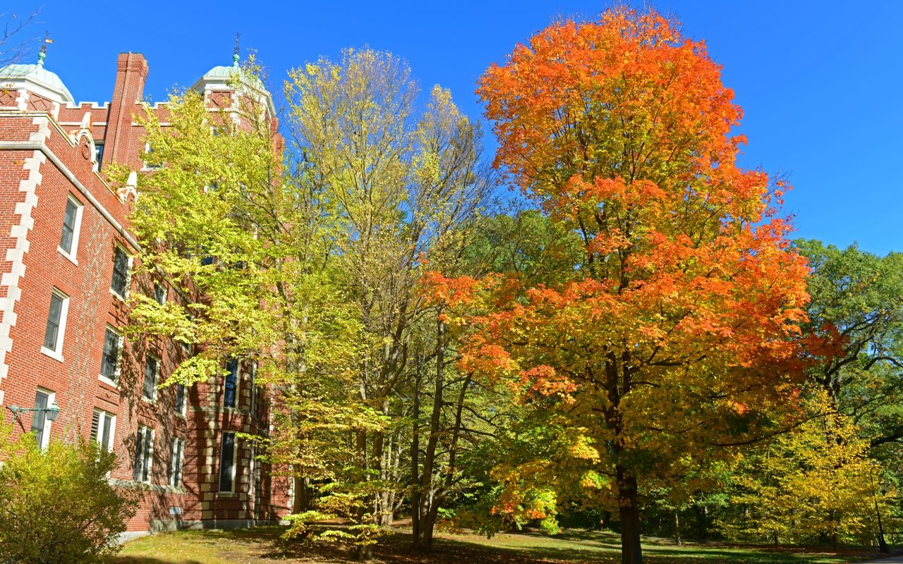 Wellesley