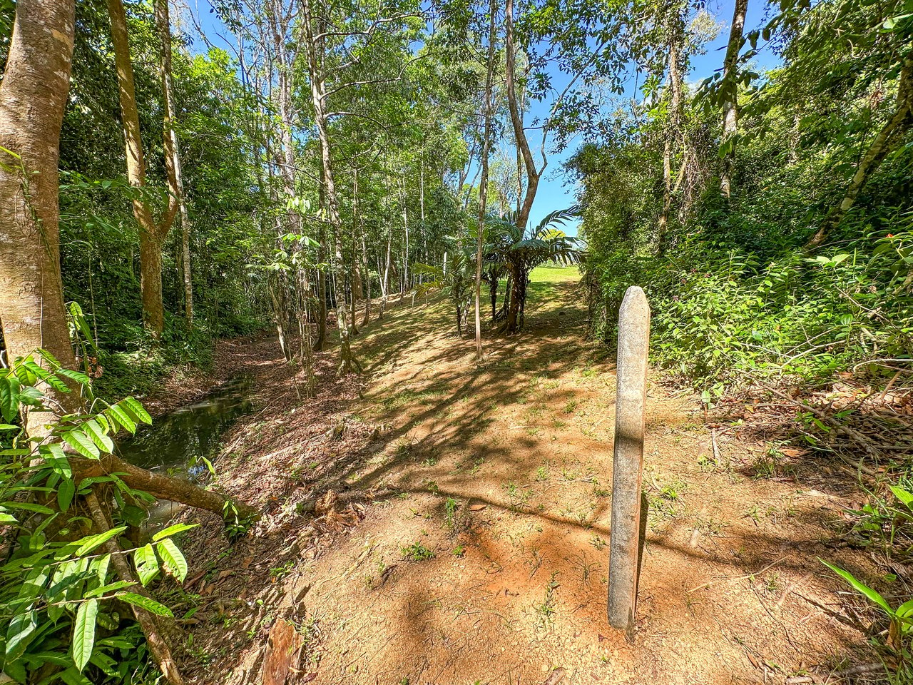 Elevated 2.2 Acres Jungle And Creek-Fronting Mountain View Lot In Ojochal