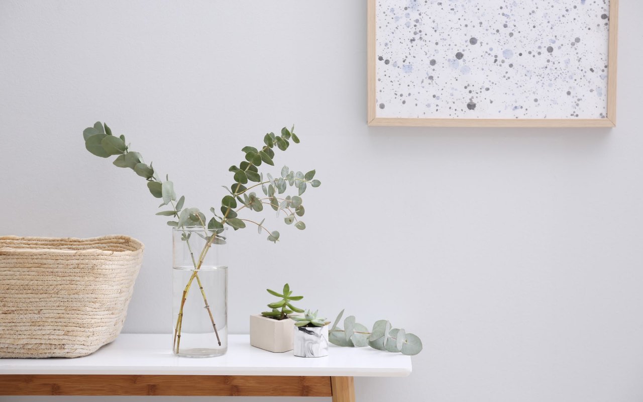 Minimalist shelf with eucalyptus, succulents, a woven basket, and framed abstract art.