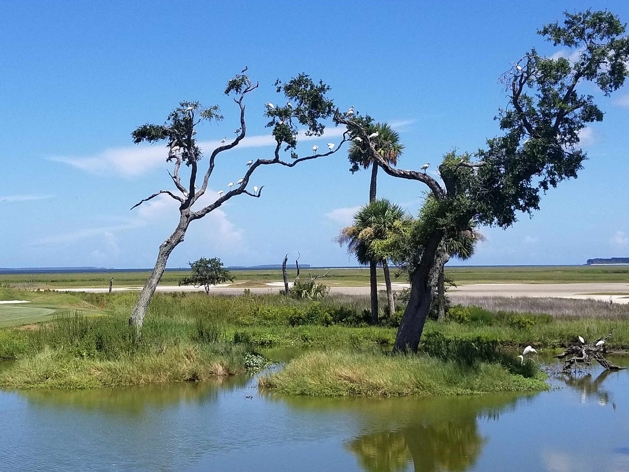 Colleton River
