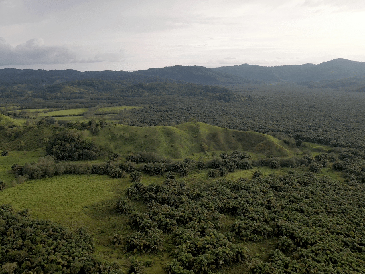 382 Acres of Sierpe River Wild Lands