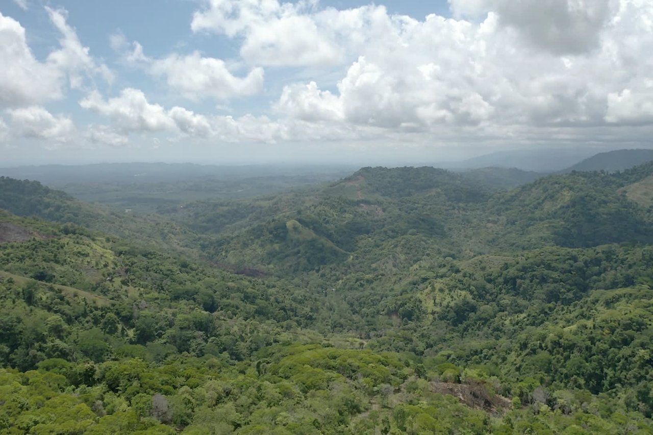 42 Acres With Waterfalls, Ocean Views & Multiple Building Sites Sliencio Ariba