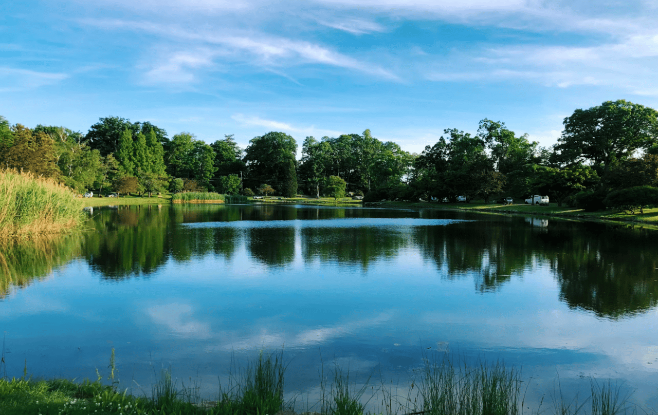 Shippan Point in Different Seasons: Embracing the Beauty of Winter, Spring, Summer, and Fall