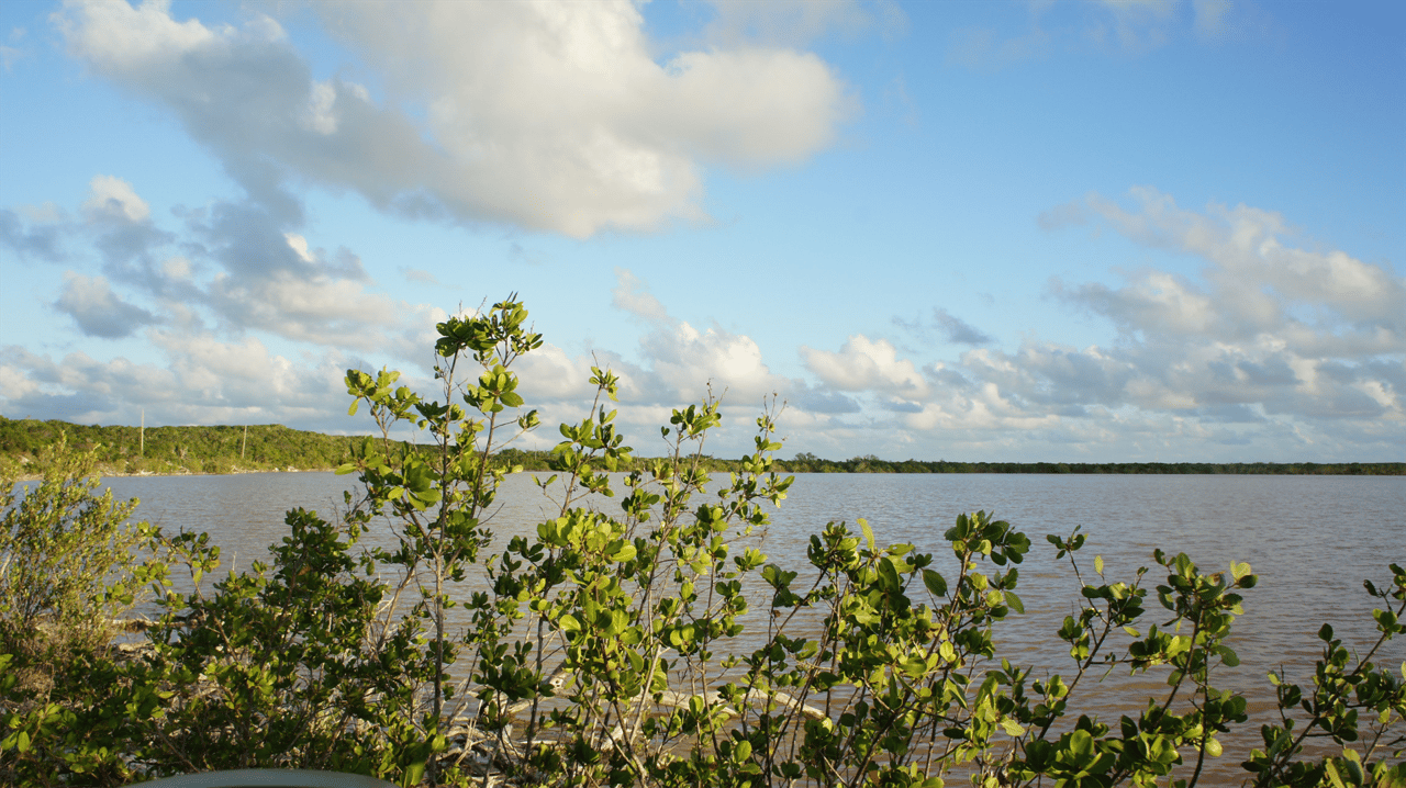 Sandy Point North Caicos, TKCA 1ZZ