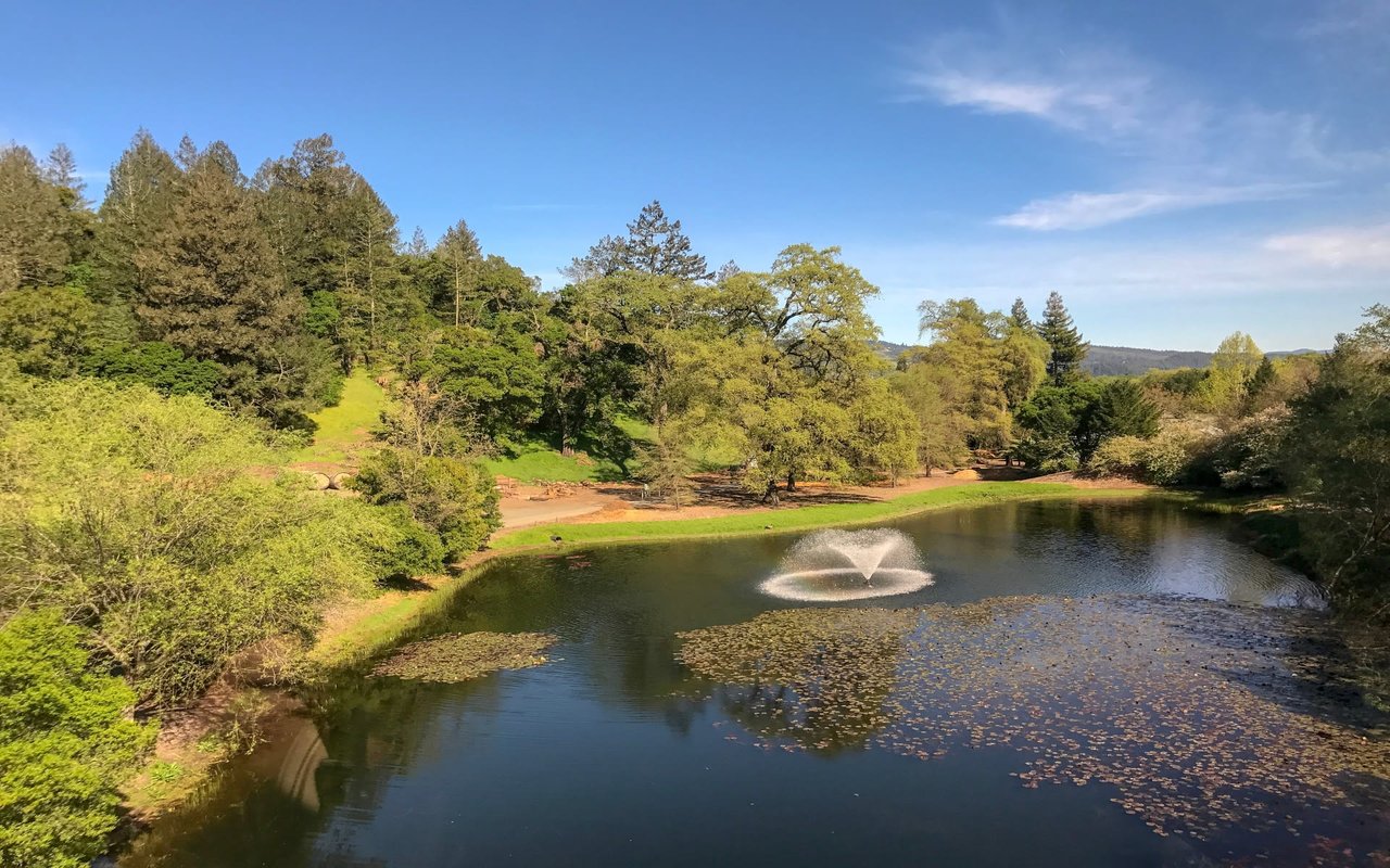 Milton Road property with pond