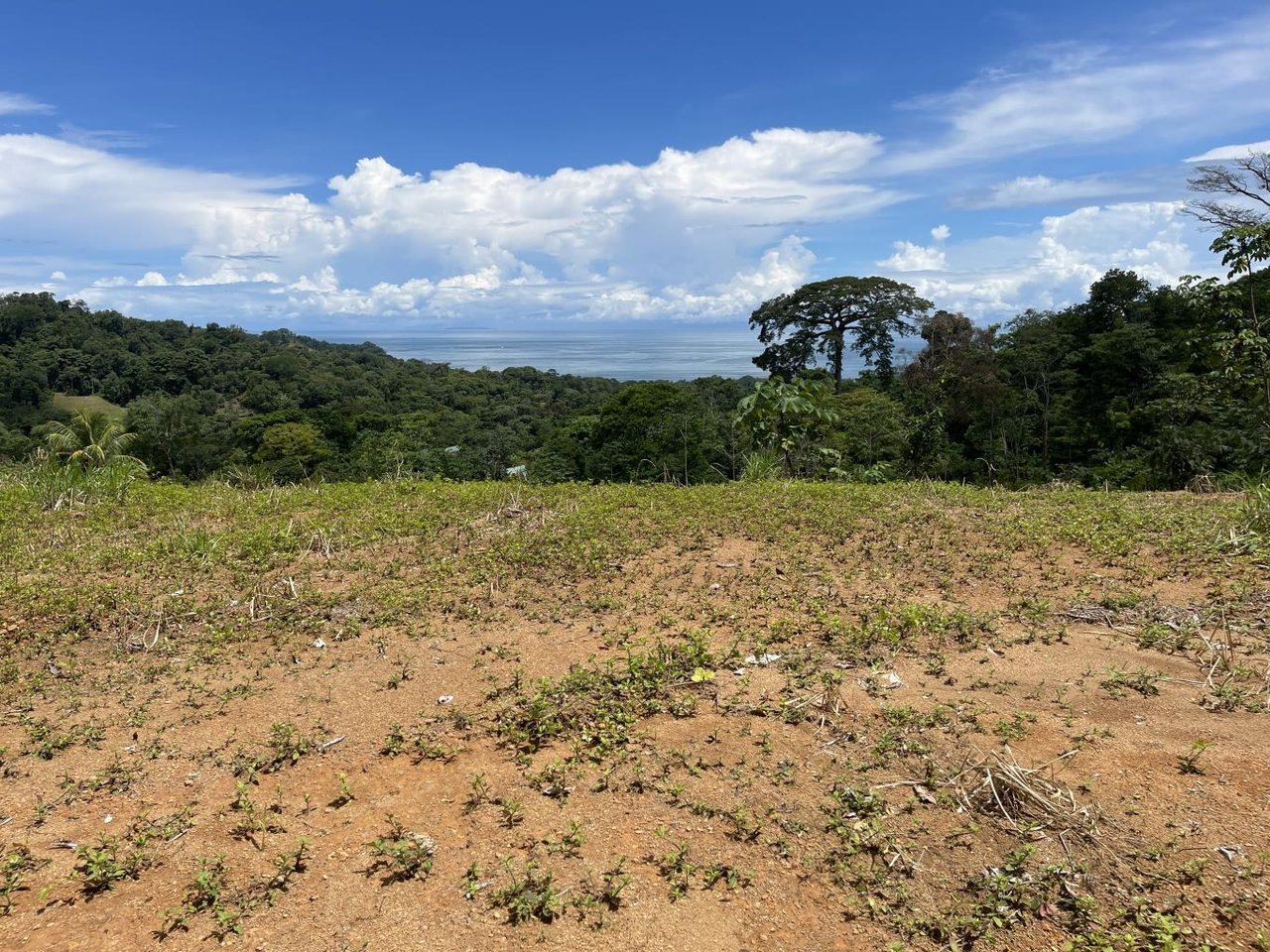 15.9 ACRES – Ocean View Development Property With Legal Water, Public Road, 5 Min From Highway!