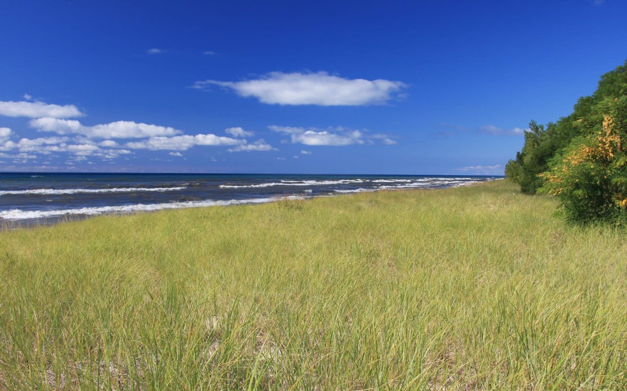 Saugatuck