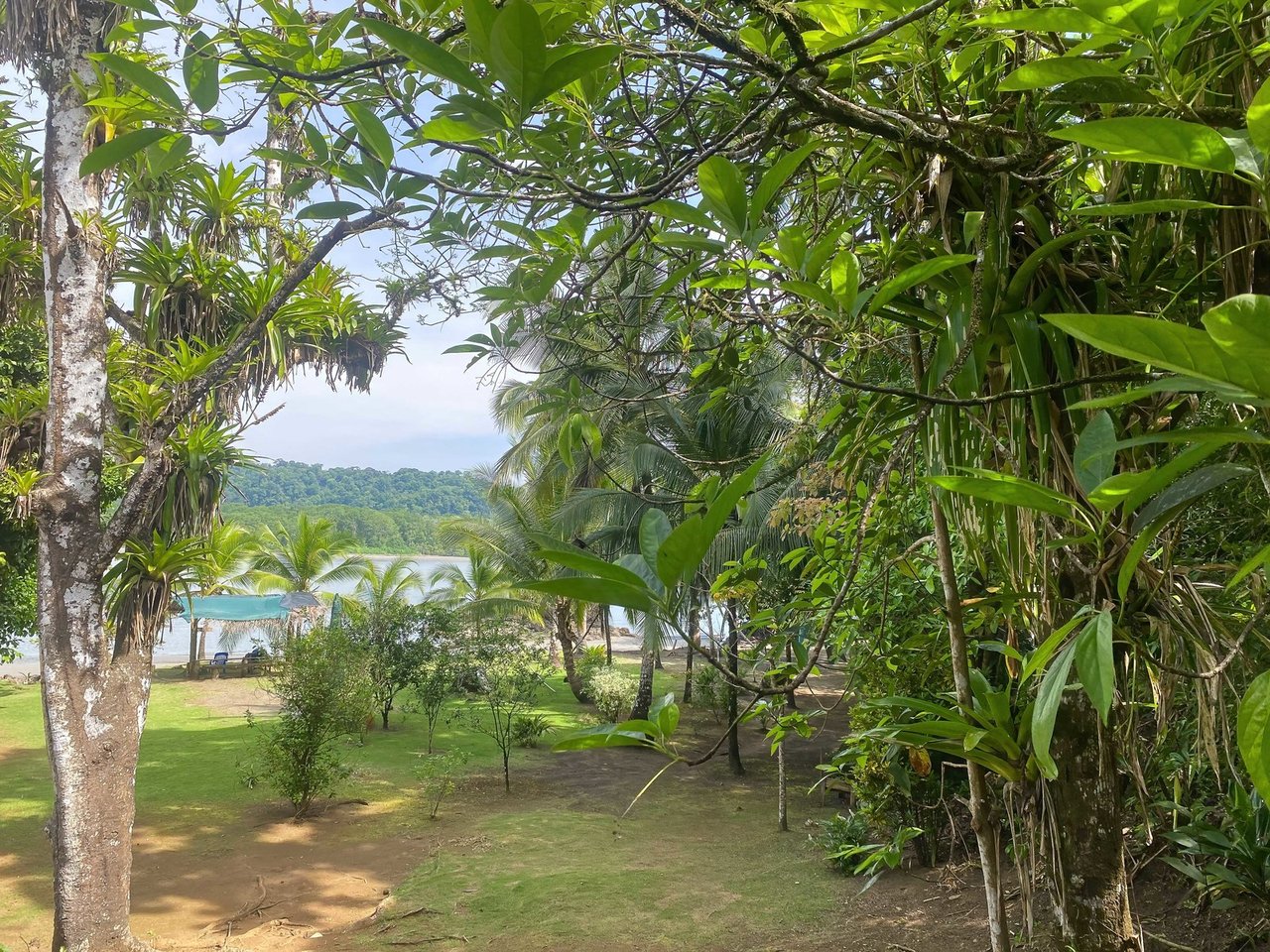 Off-Grid Luxury Retreat, Osa, Puntarenas
