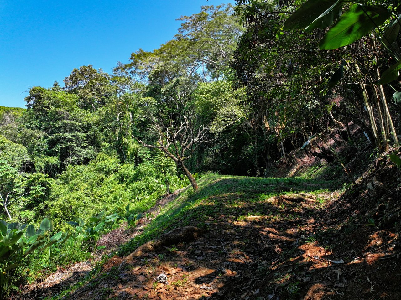 Unveil Paradise: Your Dream Homesite Awaits in Dominical, Costa Rica