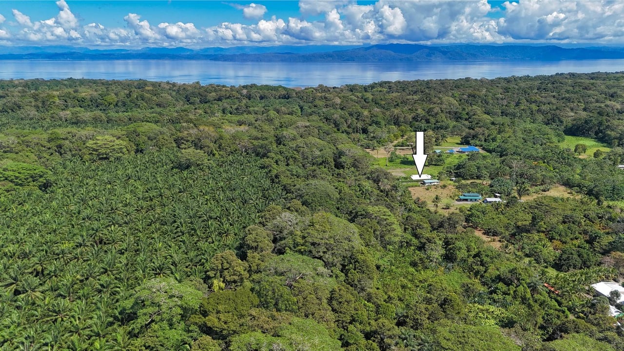Modern Tropical Garden Residence, Osa, Puntarenas