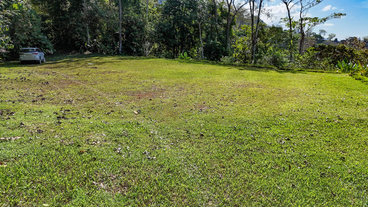 A prepared, 1.5 Acres jungle immersed lot with spectacular views of the Whale’s Tail. 