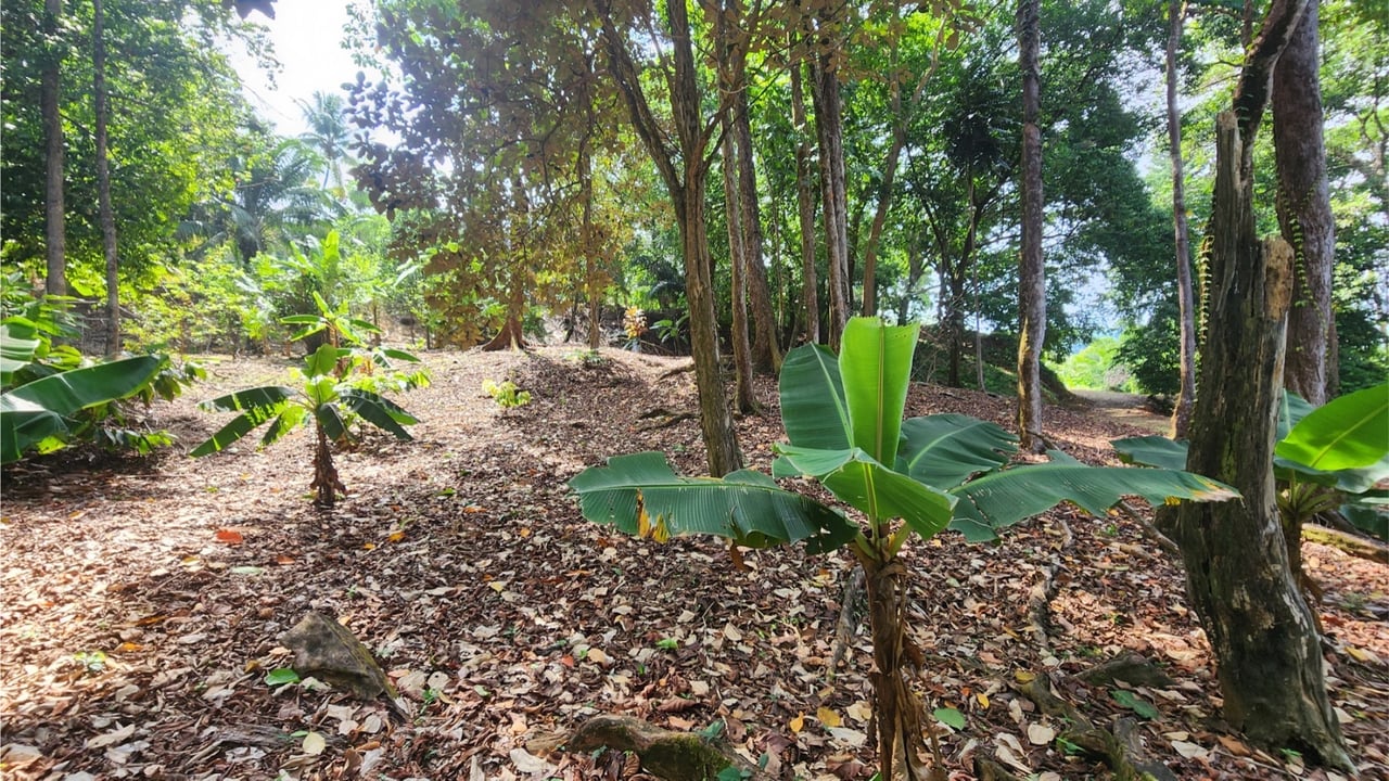 Oceanfront Resort Development Land, Uvita, Puntarenas