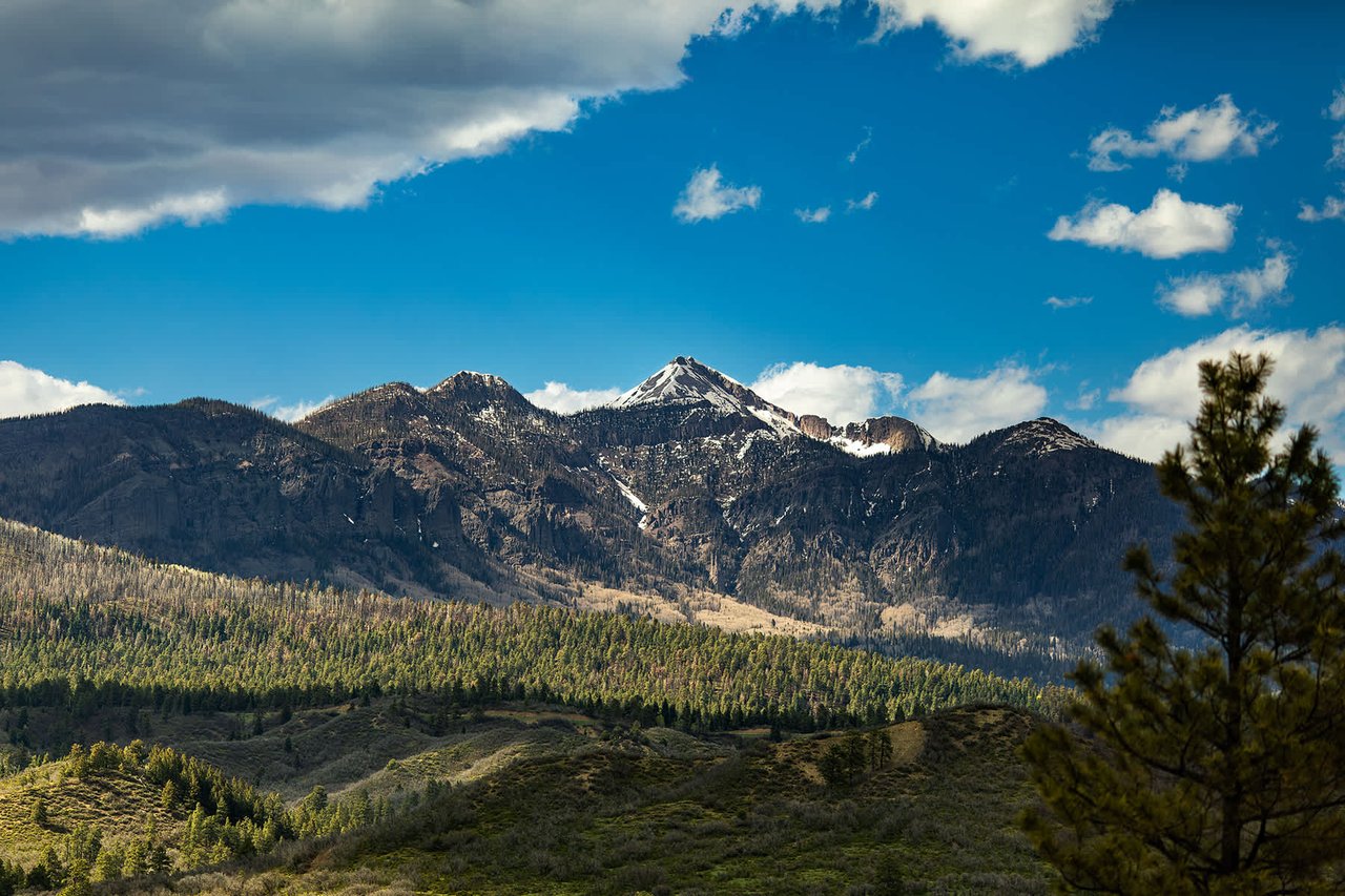 Watusi Ranch - Pagosa Springs, Colorado