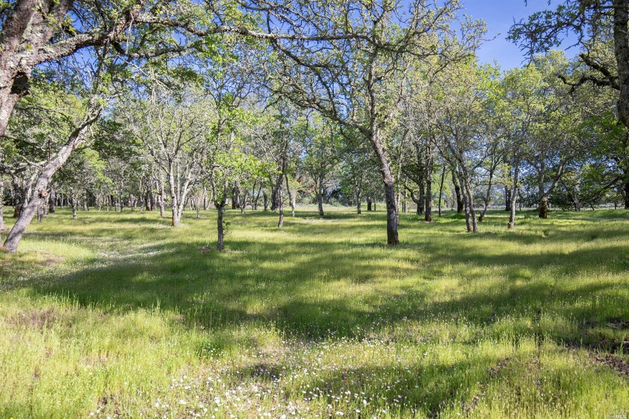 1112 Windsor River Rd. 