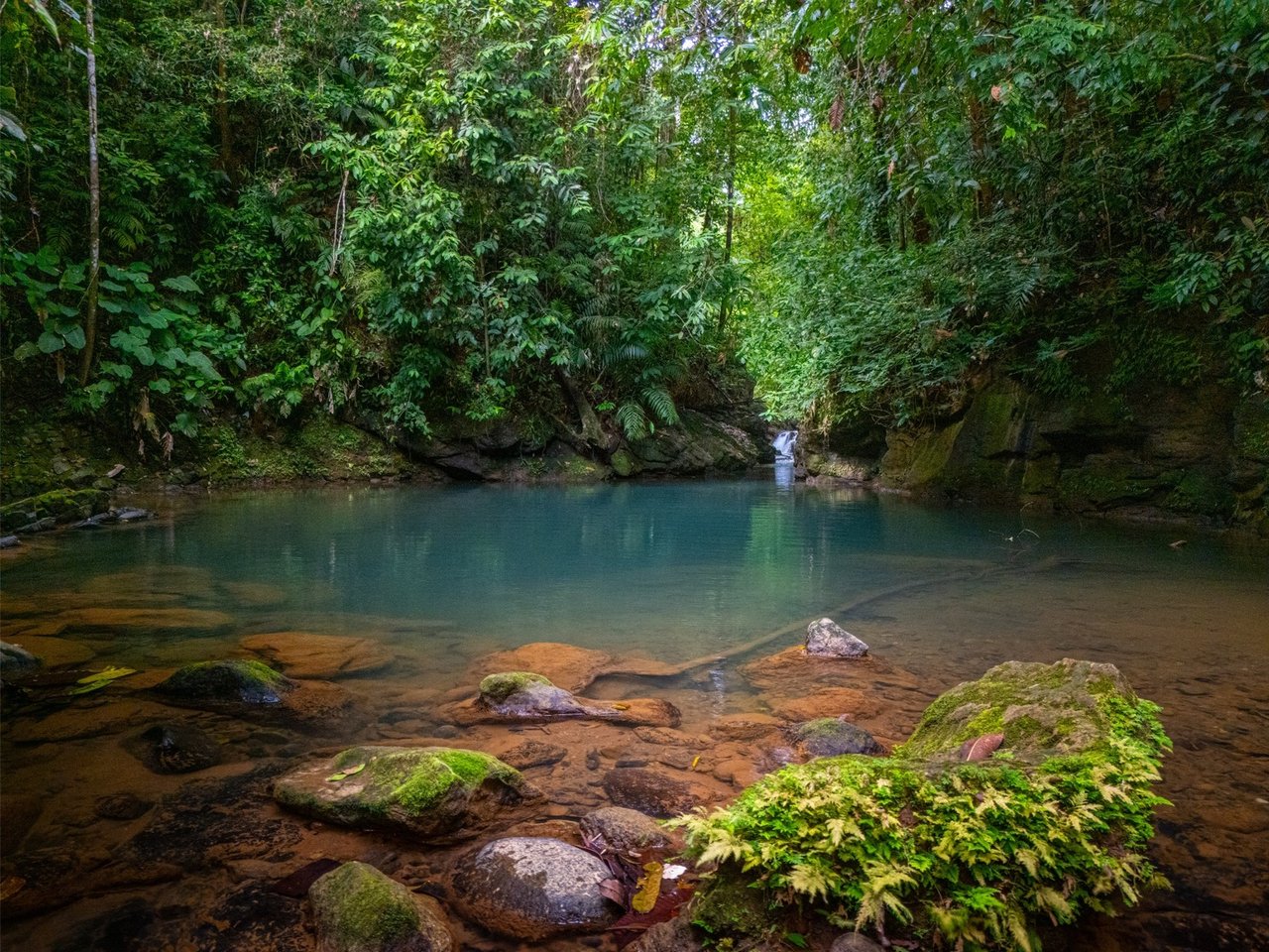Sustainable Boutique Resort, Ojochal, Puntarenas