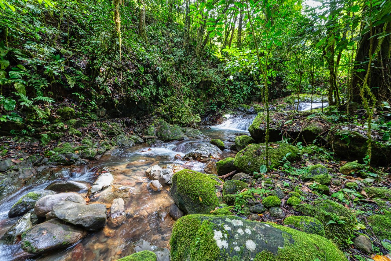 Secluded 67-Acre Costa Rican Paradise with Luxurious Residence