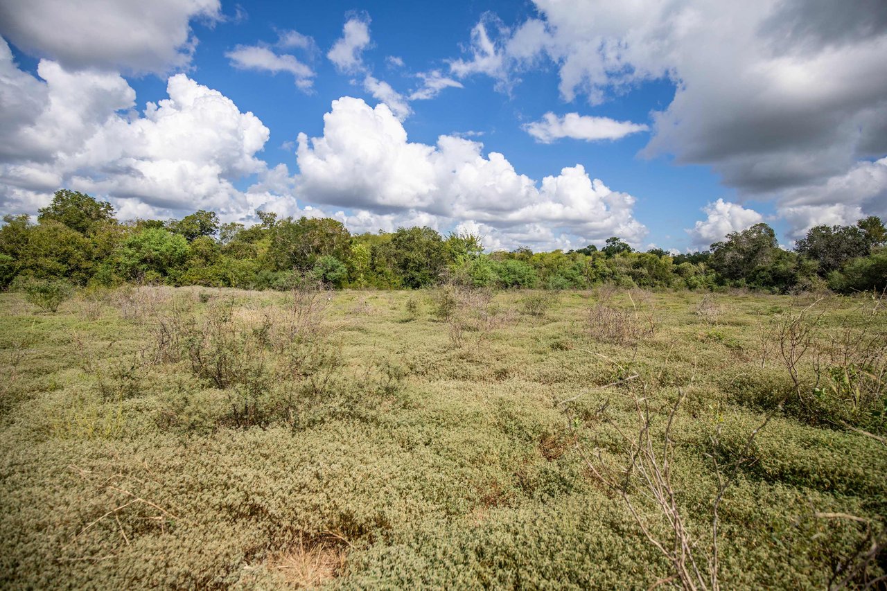 Lovers Lane River Ranch | 140± Acres | DeWitt County