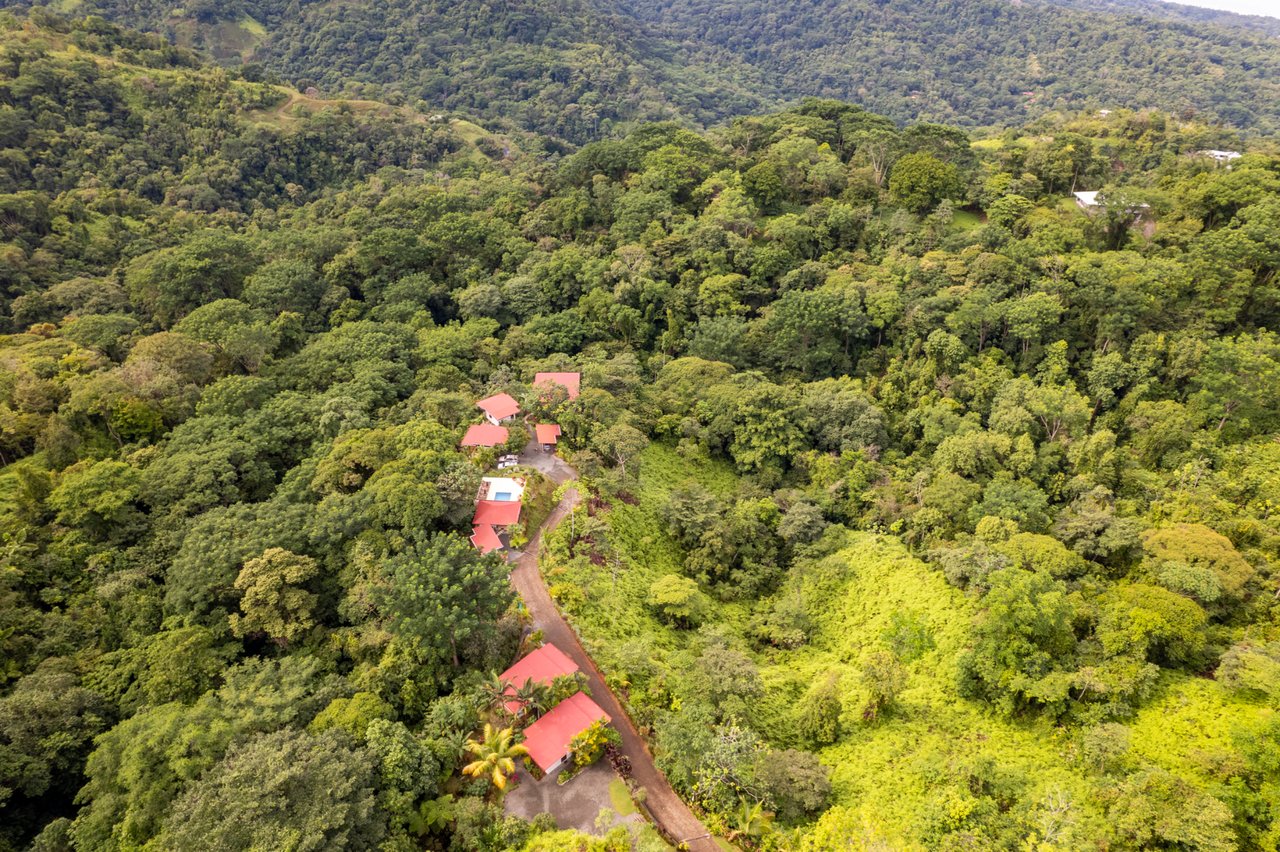 Boutique Jungle Hospitality Asset, Uvita, Puntarenas
