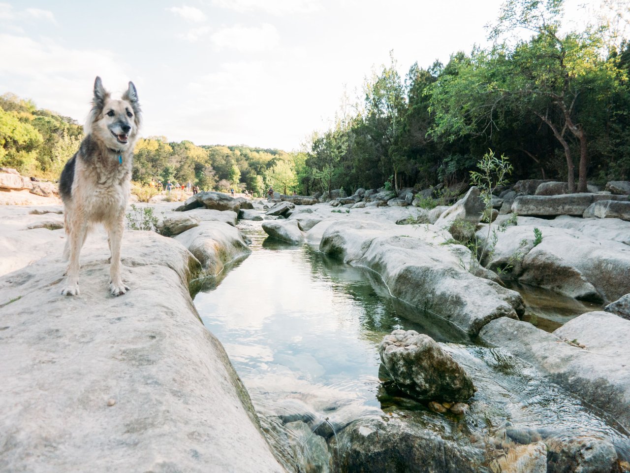 Northwest Austin