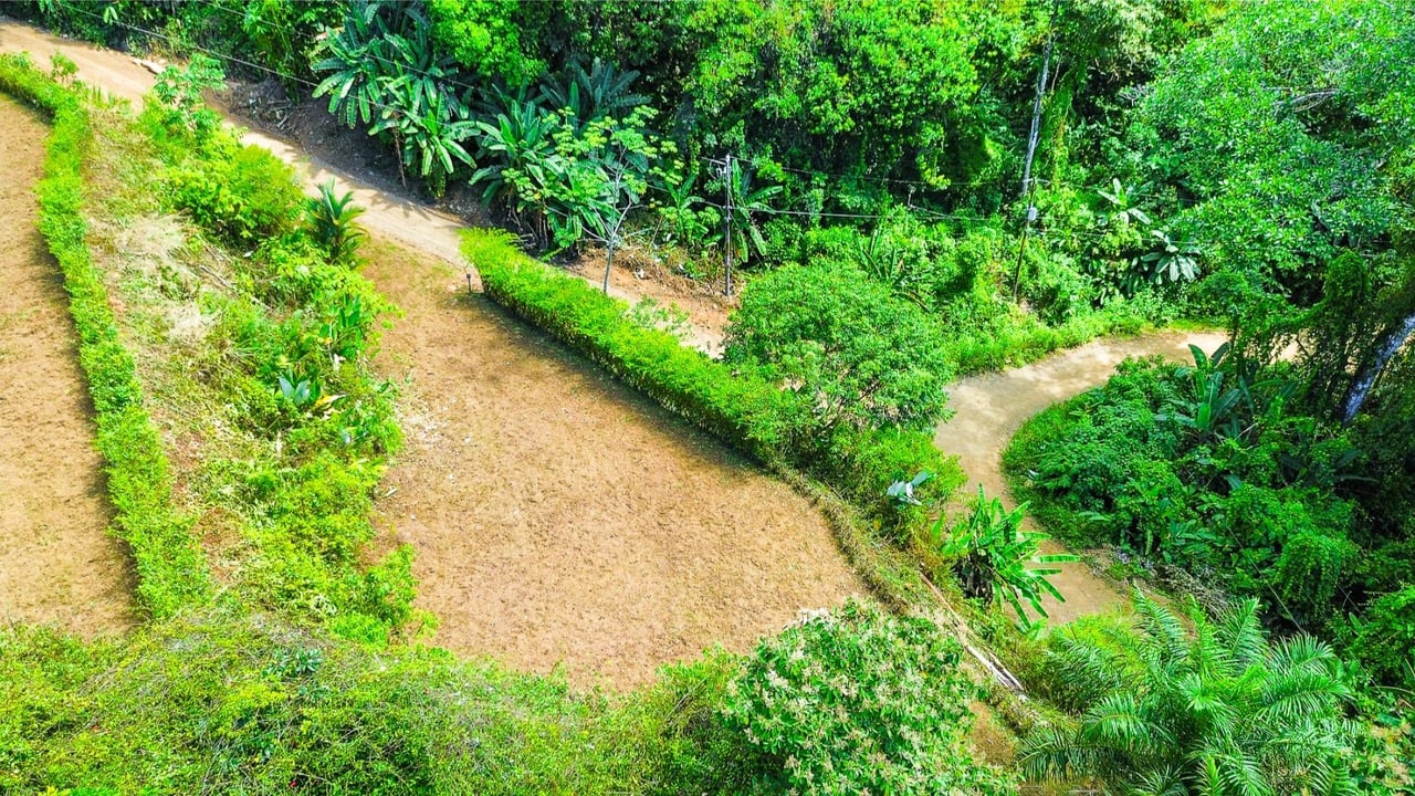 Forest View Build Ready Lot, Ojochal, Puntarenas