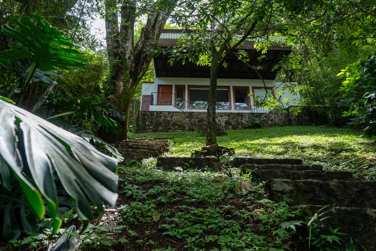Mountain Estate With Guest Studio, Santa Ana, San Jose