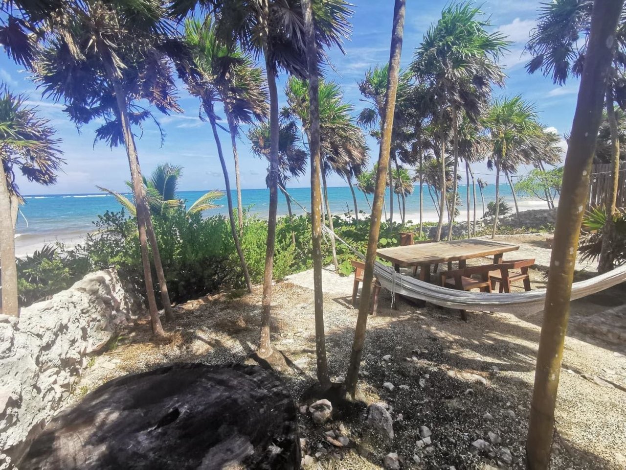 BEACHFRONT LOT IN THE HOTEL AREA OF TULUM