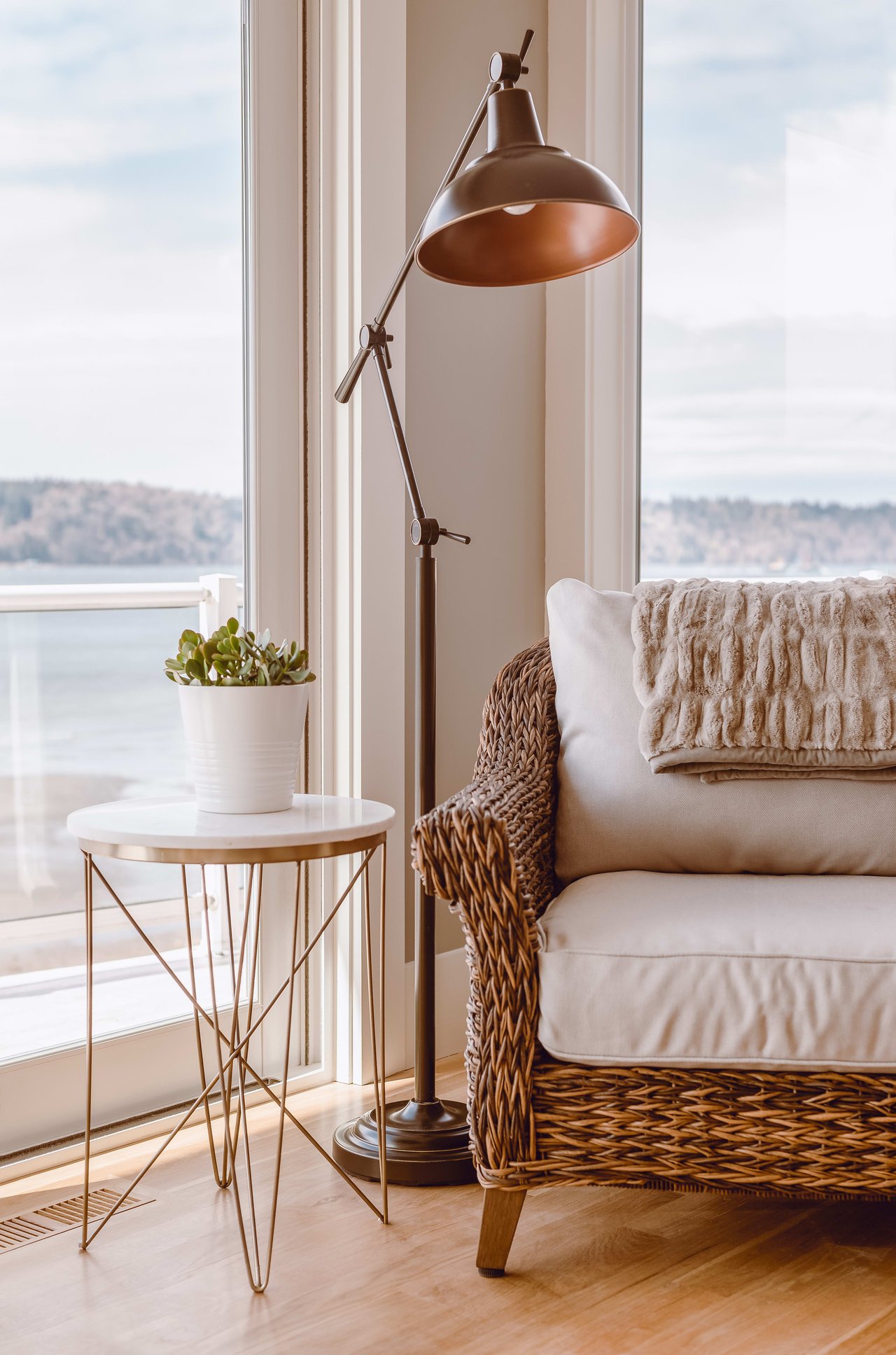 Living Room with Brown Sofa