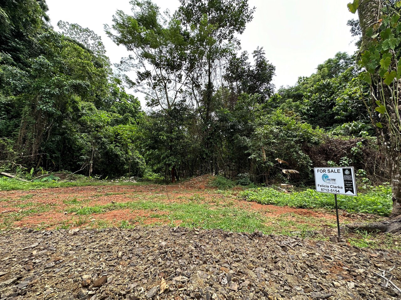 0.53 Acre Lot Located In the Exclusive Community of Puesta del Sol (Phase 10 - Lot #J10) Ojochal 