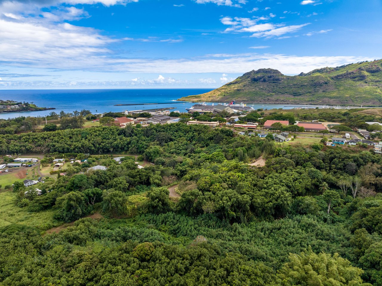NEW LISTING: Kahumoku Road, Unit 6, Lihue, HI 96766