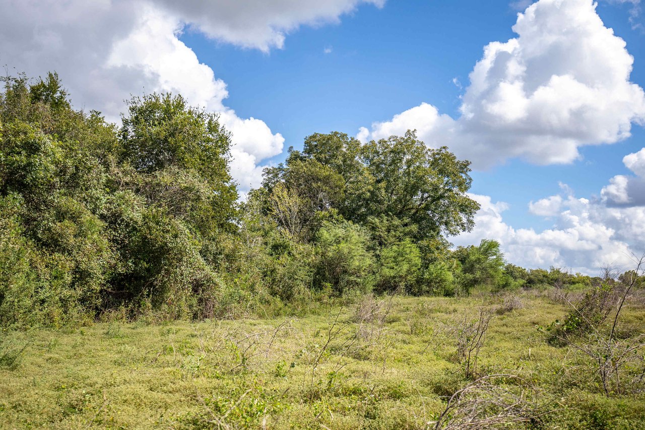 Lovers Lane River Ranch | 140± Acres | DeWitt County