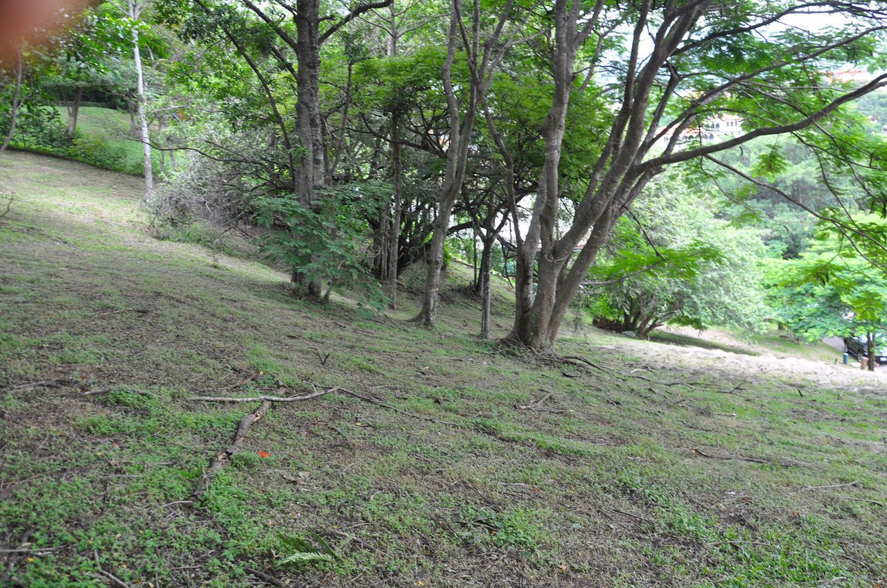 Villa Real Residential Lot, Santa Ana, San Jose